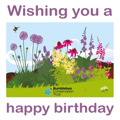 Birthday ecard