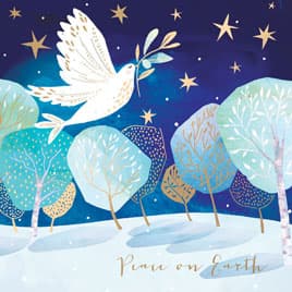 Dove 'Peace on Earth' Parkinson's UK christmas ecard