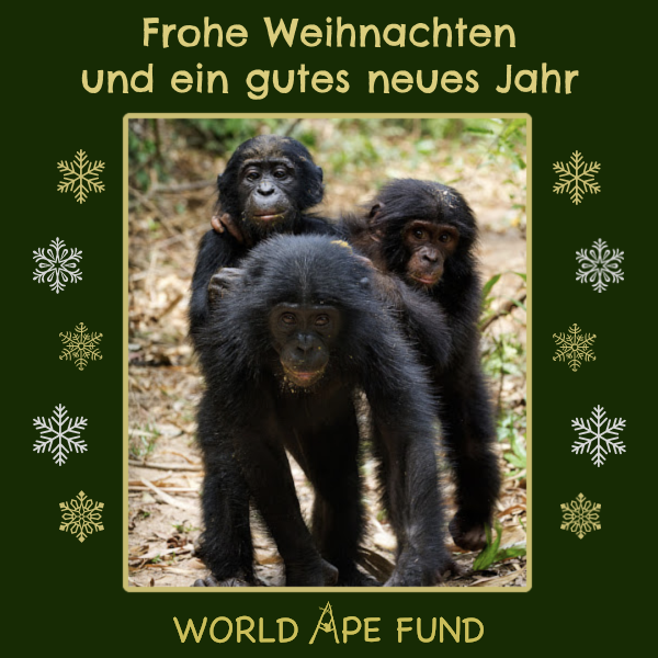 Weihnachts- und Neujahrskarten senden eCards