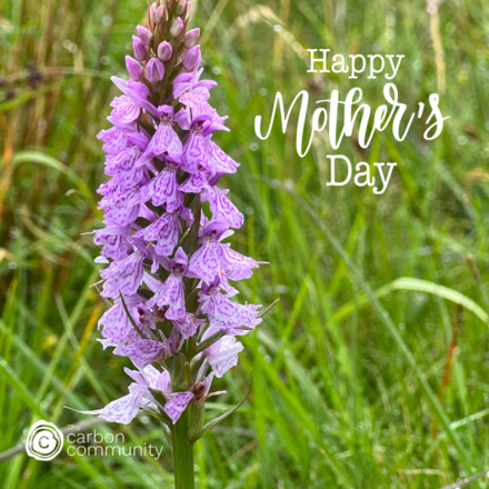 Show someone you care about them & nature this Mother's Day. eCards