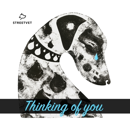 In sympathy for a person or a pet, or anytime anyone you know needs a bit of a lift, send them our 'Thinking of you' e-card. Designed for StreetVet by Ali Limentani. eCards