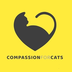 Compassion for Cats eCards