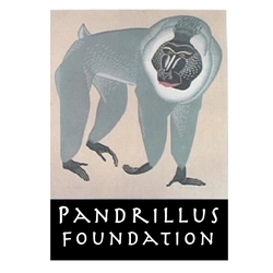 Pandrillus Foundation USA eCards