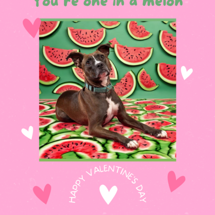 Send Valentine’s Day Ecard eCards