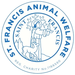 St Francis Animal Welfare eCards