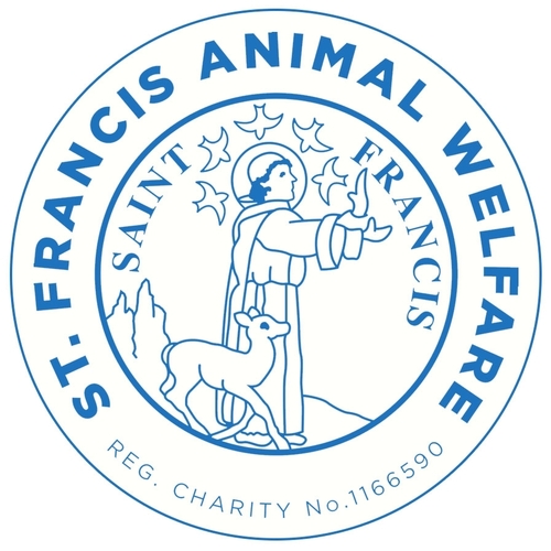 St Francis Animal Welfare eCards