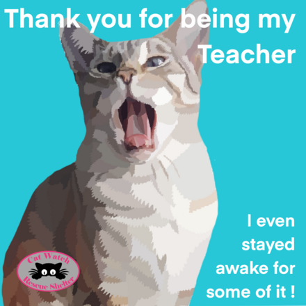 Send teacher a rescue donation e-card in their name. eCards