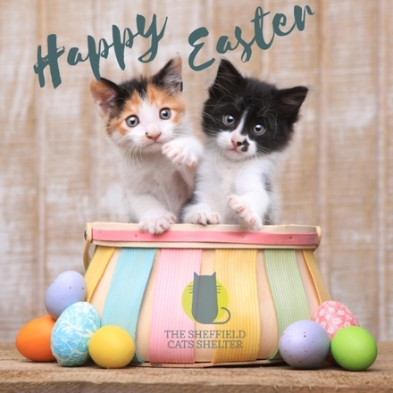 Send Easter E-Cards eCards