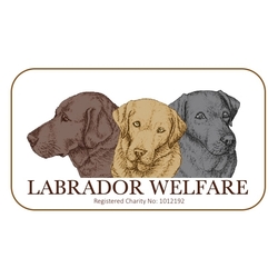 Labrador Welfare eCards