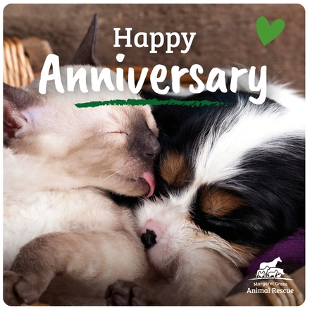 Send Anniversary E-Cards eCards