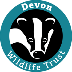 Devon Wildlife Trust eCards