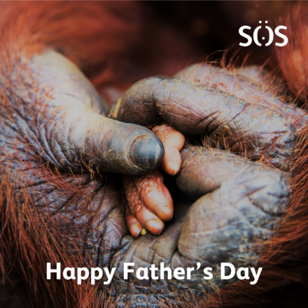 Send a Father's Day E-Card eCards