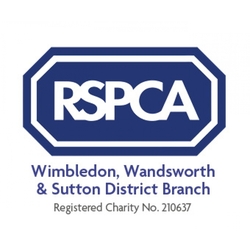 RSPCA Wimbledon, Wandsworth & Sutton District Branch eCards