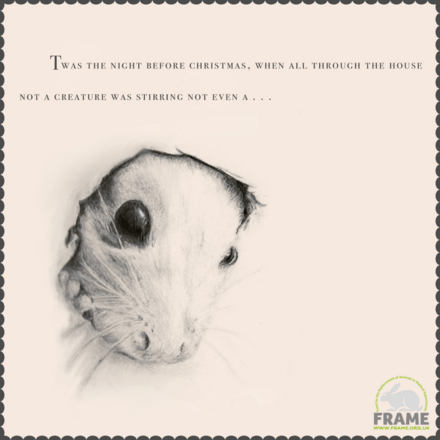 Send FRAME's Official 2023 Festive E-Cards! eCards