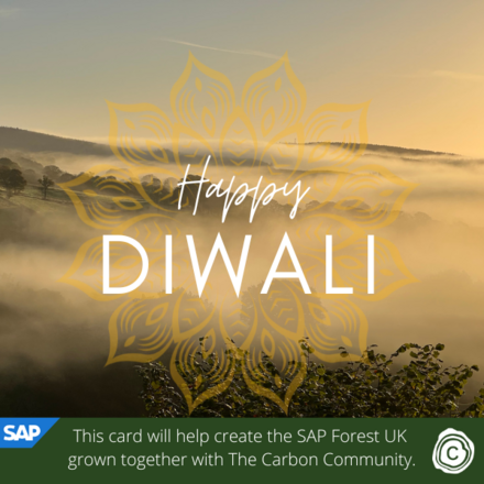 Send a Holiday eCard supporting SAP Forest UK in partnership with The Carbon Community eCards