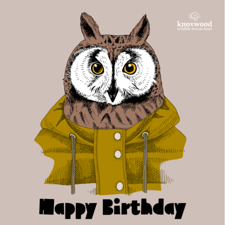 Send a Birthday E-Card eCards