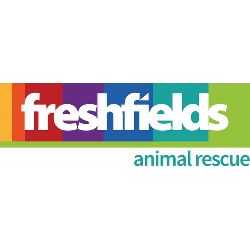 Freshfields Animal Rescue eCards