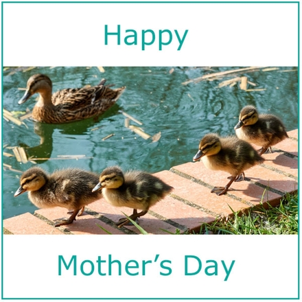 Send a Mother's Day E-Card eCards