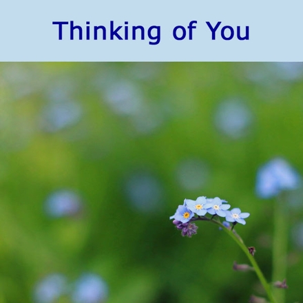 Send a Thinking of You E-card eCards