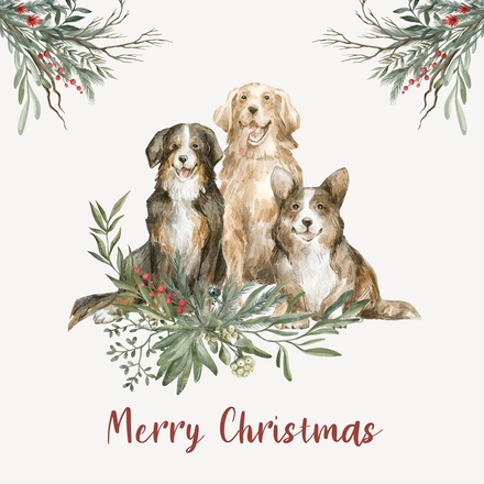 WVS Christmas Designs! eCards