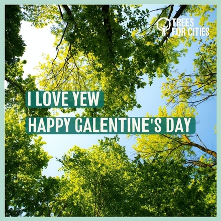 Galentine's Day eCards