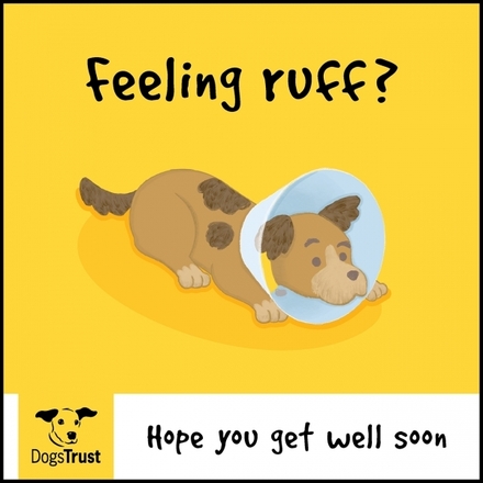 Send a Get Well Soon E-Card  eCards