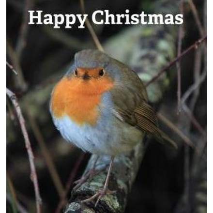 Send Christmas E-Cards eCards