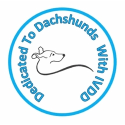 Dedicated to Dachshunds with IVDD eCards