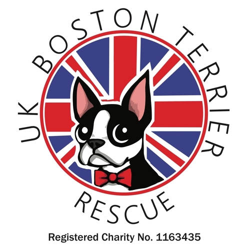 Uk Boston Terrier Rescue eCards