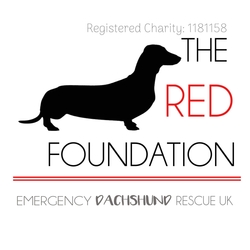 The Red Foundation eCards