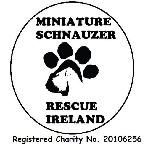 Miniature Schnauzer Rescue Ireland eCards