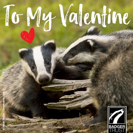 Send a Valentine's Day E-Card eCards