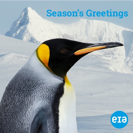 Send Christmas E-Cards eCards