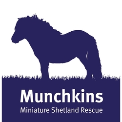 Munchkins Miniature Shetland Rescue eCards