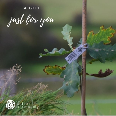 Brighten someone’s day with an eco-friendly ecard from The Carbon Community and  eCards