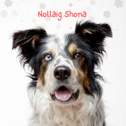 Nollaig Shona eCards