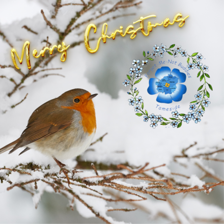 Send Christmas Whatsapp Cards eCards