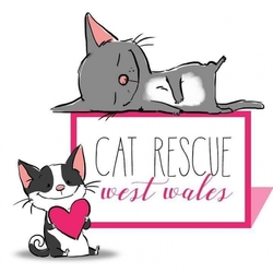 Cat Rescue West Wales eCards