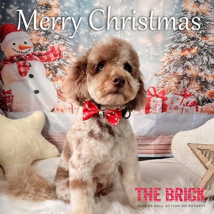 Send a Bowie the Brick dog Christmas e-card  eCards