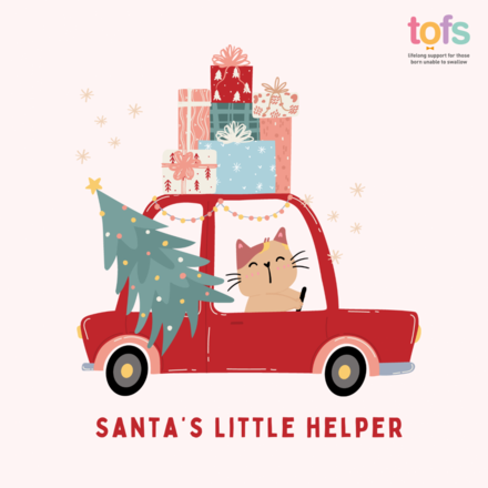 Send a TOFS Christmas e-card to your family and friends! eCards