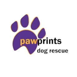 Pawprints Dog Rescue eCards