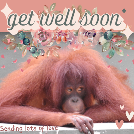 Send a Get Well Soon eCard eCards