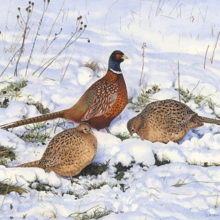 Send a GWCT Christmas eCard this year eCards