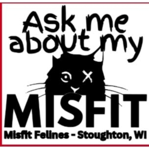 Misfit Felines Inc. eCards