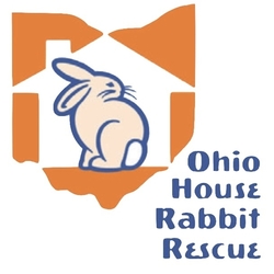 Ohio House Rabbit Rescue eCards